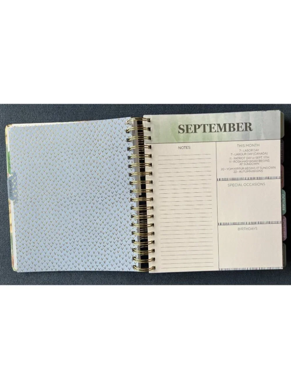 Planner 17 Month 2026-27 LORD IS STRENGTH Month Day Week Organizer Plan 9